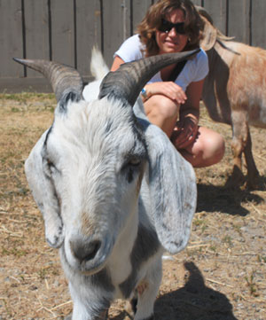 Farm Sanctuary - Sharon & Noel